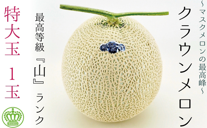 静岡県袋井市のふるさと納税 クラウンメロン（山級）特大玉  １玉　ギフト箱入り