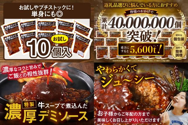 福岡県飯塚市のふるさと納税 鉄板焼ハンバーグ デミソース 10個	【A-848】