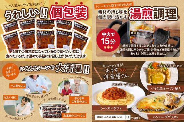 福岡県飯塚市のふるさと納税 鉄板焼ハンバーグ デミソース 10個	【A-848】