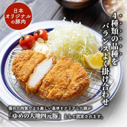 北海道羽幌町のふるさと納税 【北海道ブランド豚】「ゆめの大地」 豚ロースブロック 1kg【27003AA0101】