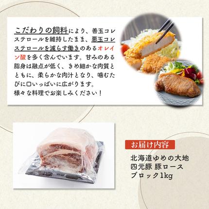 北海道羽幌町のふるさと納税 【北海道ブランド豚】「ゆめの大地」 豚ロースブロック 1kg【27003AA0101】