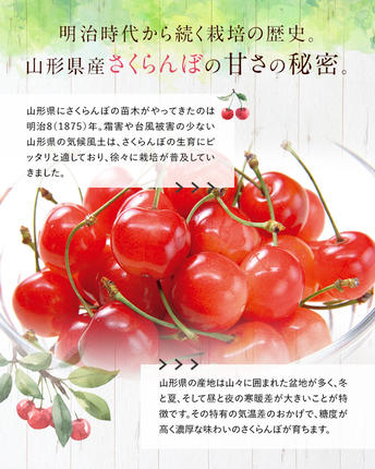 山形県南陽市のふるさと納税 【令和8年産先行予約】 さくらんぼ 「佐藤錦または紅秀峰」 720g (180g×4パック 秀 L以上) 《令和8年6月上旬～発送》 『南陽中央青果市場』 サクランボ 山形県 南陽市 [1476]