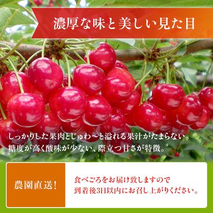 北海道仁木町のふるさと納税  [先行受付] さくらんぼ 紅秀峰 2Lサイズ 以上1kg（500g×2パック）化粧箱入 サクランボ チェリー フルーツ 果物 果物類 ギフト 贈答品 北海道 仁木町 仁木 [小林信幸]