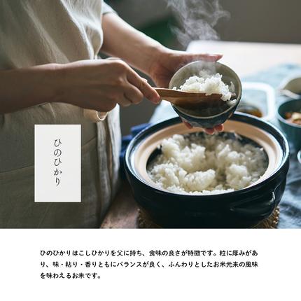 兵庫県小野市のふるさと納税 兵庫県産 ヒノヒカリ 無洗米 10kg ( 5kg × 2袋 )  [ お米 米 おいしい ひのひかり 兵庫県 小野市 ] 精米 白米 ご飯 手間いらず 厚み 味 粘り 香り バランス ふんわり