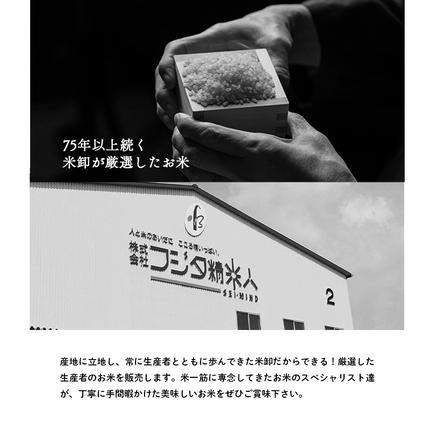 兵庫県小野市のふるさと納税 兵庫県産 ヒノヒカリ 無洗米 10kg ( 5kg × 2袋 )  [ お米 米 おいしい ひのひかり 兵庫県 小野市 ] 精米 白米 ご飯 手間いらず 厚み 味 粘り 香り バランス ふんわり