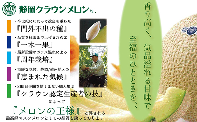 静岡県浜松市のふるさと納税 メロン 静岡クラウンメロン 白 1玉 果物 フルーツ 旬の果物 ギフト 配送不可：離島