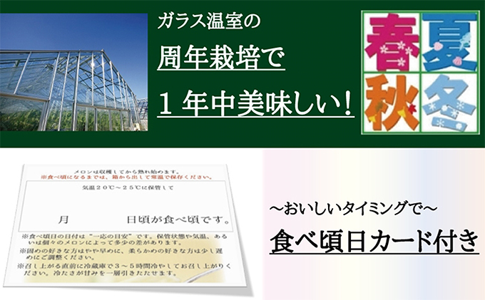 静岡県浜松市のふるさと納税 メロン 静岡クラウンメロン 白 1玉 果物 フルーツ 旬の果物 ギフト 配送不可：離島