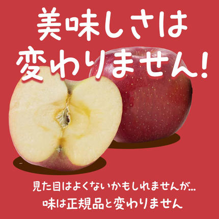 山形県南陽市のふるさと納税 【令和7年産先行予約】 〈訳あり品 家庭用〉 りんご 「サンふじ」 約5kg バラ詰め 《令和7年12月上旬～令和8年2月下旬発送》 『カネタ高橋青果』 リンゴ 山形県 南陽市 [1958]