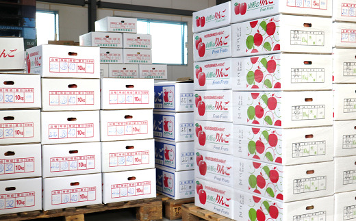 山形県南陽市のふるさと納税 【令和8年産先行予約】 りんご 「サンふじ」 約5kg (12～23玉 秀品) 《令和8年12月上旬～令和9年2月下旬発送》 『カネタ高橋青果』 リンゴ 山形県 南陽市 [1960]