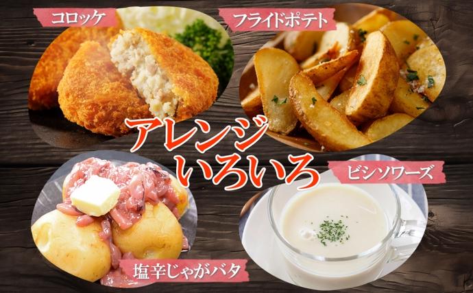 北海道産じゃがいも 男爵 キタアカリ各約5kg Lサイズ 計10kg