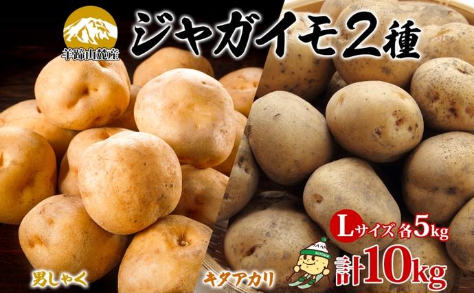 北海道産じゃがいも 男爵 キタアカリ各約5kg Lサイズ 計10kg