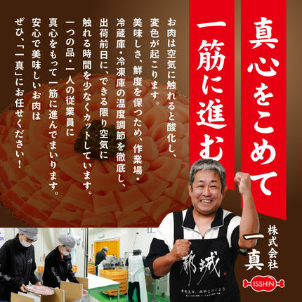 宮崎県都城市のふるさと納税 「高城の里」わくわく4.1kgセット(真空)_22-8401-s