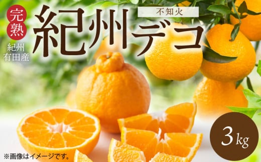 G7360_【2026年先行予約】デコポン