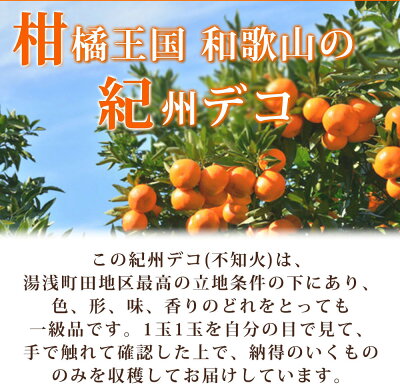 和歌山県湯浅町のふるさと納税 G7360_【2026年先行予約】デコポン 紀州デコ 3kg 完熟 濃厚 国産 紀州 有田 不知火 柑橘 果物 果実 フルーツ 柑橘の王様 まろやか 甘い ジューシー コク プリプリ 果肉 お取り寄せ 和歌山県 湯浅町 送料無料