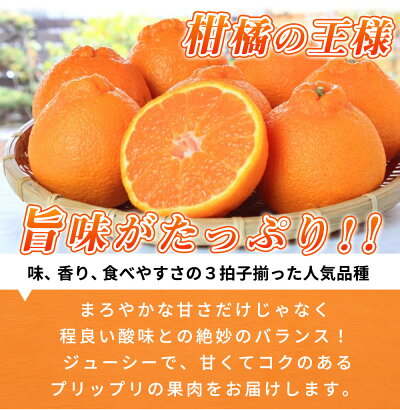 和歌山県湯浅町のふるさと納税 G7360_【2026年先行予約】デコポン 紀州デコ 3kg 完熟 濃厚 国産 紀州 有田 不知火 柑橘 果物 果実 フルーツ 柑橘の王様 まろやか 甘い ジューシー コク プリプリ 果肉 お取り寄せ 和歌山県 湯浅町 送料無料