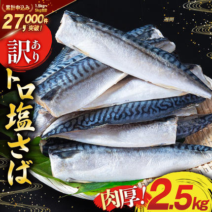 訳あり 塩サバ フィレ 2.5kg [足利
