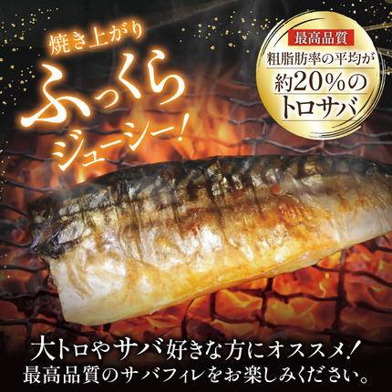 宮城県気仙沼市のふるさと納税 訳あり 塩サバ フィレ 2.5kg [足利本店 宮城県 気仙沼市 20564146] 魚介類 魚 海鮮 大容量 サバ さば 鯖 サバフィレ サバフィーレ 鯖フィレ トロサバ 訳アリ 訳あり わけあり 切り身 冷凍