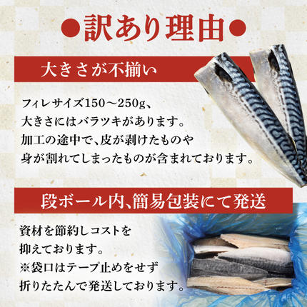 宮城県気仙沼市のふるさと納税 訳あり 塩サバ フィレ 2.5kg [足利本店 宮城県 気仙沼市 20564146] 魚介類 魚 海鮮 大容量 サバ さば 鯖 サバフィレ サバフィーレ 鯖フィレ トロサバ 訳アリ 訳あり わけあり 切り身 冷凍