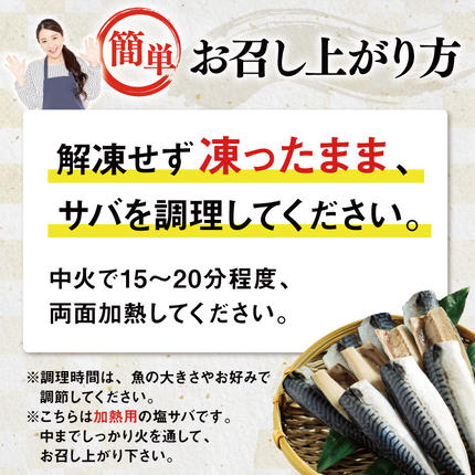 宮城県気仙沼市のふるさと納税 訳あり 塩サバ フィレ 2.5kg [足利本店 宮城県 気仙沼市 20564146] 魚介類 魚 海鮮 大容量 サバ さば 鯖 サバフィレ サバフィーレ 鯖フィレ トロサバ 訳アリ 訳あり わけあり 切り身 冷凍