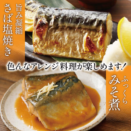 宮城県気仙沼市のふるさと納税 訳あり 塩サバ フィレ 2.5kg [足利本店 宮城県 気仙沼市 20564146] 魚介類 魚 海鮮 大容量 サバ さば 鯖 サバフィレ サバフィーレ 鯖フィレ トロサバ 訳アリ 訳あり わけあり 切り身 冷凍