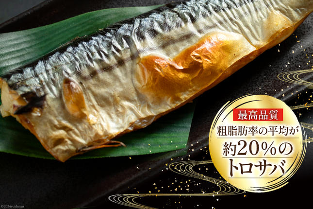 宮城県気仙沼市のふるさと納税 訳あり 塩サバ フィレ 3kg [足利本店 宮城県 気仙沼市 20564146] 魚介類 魚 海鮮 大容量 サバ さば 鯖 サバフィレ サバフィーレ 鯖フィレ トロサバ 訳アリ 訳あり わけあり 切り身 冷凍