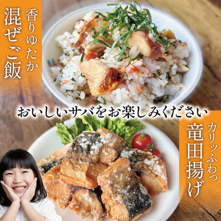 宮城県気仙沼市のふるさと納税 訳あり 塩サバ フィレ 2.5kg [足利本店 宮城県 気仙沼市 20564146] 魚介類 魚 海鮮 大容量 サバ さば 鯖 サバフィレ サバフィーレ 鯖フィレ トロサバ 訳アリ 訳あり わけあり 切り身 冷凍