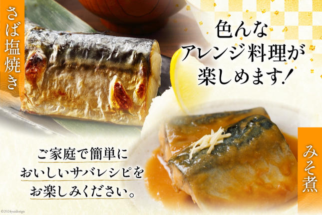 宮城県気仙沼市のふるさと納税 訳あり 塩サバ フィレ 3kg [足利本店 宮城県 気仙沼市 20564146] 魚介類 魚 海鮮 大容量 サバ さば 鯖 サバフィレ サバフィーレ 鯖フィレ トロサバ 訳アリ 訳あり わけあり 切り身 冷凍