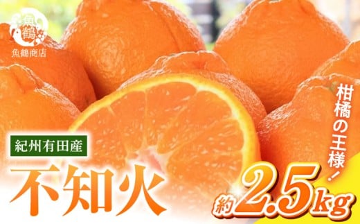 G7108_【2026年先行予約】紀州有田