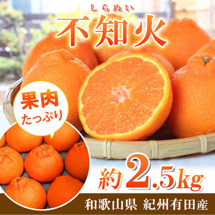 和歌山県湯浅町のふるさと納税 G7108_【2026年先行予約】紀州有田産 不知火 (しらぬひ) 2.5kg
