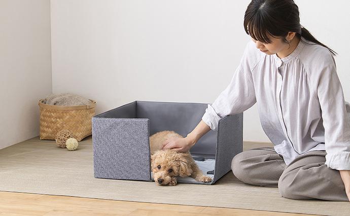 宮城県大河原町のふるさと納税 ペット 犬 猫 サークル トイレ ペットトイレサークル PTC-N4824 グレー アイリスオーヤマ コンパクト収納 折りたたみ トイレトレーニング 飛び散らない 介護