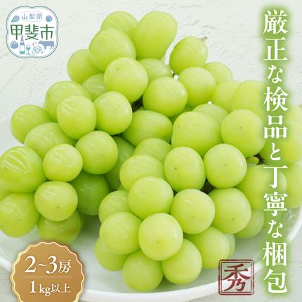 【2026年発送分】シャインマスカット「こ