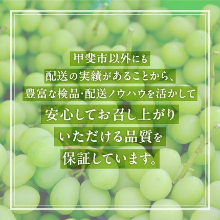 山梨県甲斐市のふるさと納税 【2026年発送分】シャインマスカット「こだわり」１kg以上　先行予約　2～3房　人気　おすすめ　国産　贈答　ギフト　お取り寄せ　　山梨県産　産地直送　フルーツ　果物　くだもの　ぶどう　ブドウ　葡萄　シャイン　シャインマスカット　新鮮　CD-1