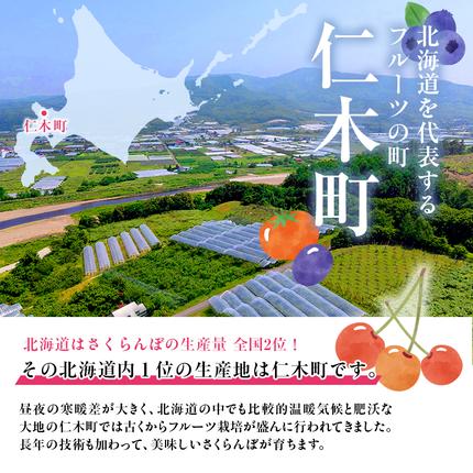 北海道仁木町のふるさと納税  [先行受付] さくらんぼ 紅秀峰 2Lサイズ 以上1kg（500g×2パック）化粧箱入 サクランボ チェリー フルーツ 果物 果物類 ギフト 贈答品 北海道 仁木町 仁木 [小林信幸]