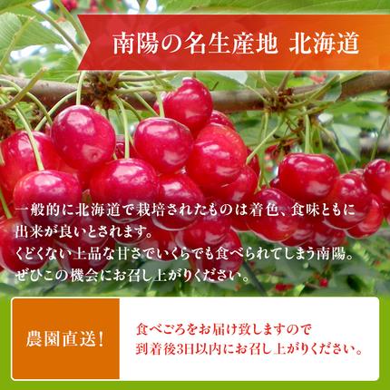 北海道仁木町のふるさと納税  [先行受付] さくらんぼ 南陽 2Lサイズ 以上600g（300g×2パック）化粧箱入 サクランボ チェリー フルーツ 果物 果物類 ギフト 贈答品 北海道 仁木町 仁木 [小林信幸]