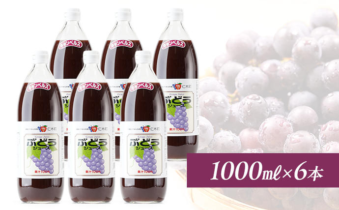 北海道仁木町のふるさと納税 北海道仁木産ぶどうジュース（品種：キャンベルス）：1000ml×6本 果汁飲料 野菜飲料 ブドウ ぶどう ジュース[JA新おたる]