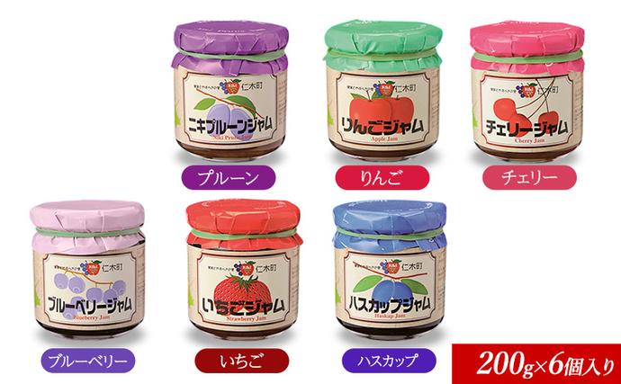 北海道仁木町のふるさと納税 JA新おたるのジャムぜんぶ詰合せ(200g×6個入り) リンゴ アップル ブルーベリー 苺 ストロベリー チェリー ハスカップ ニキプルーン 果物 フルーツ [JA新おたる]