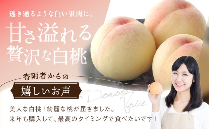 岡山県里庄町のふるさと納税 桃 2026年 先行予約 白桃 3玉 合計約800g もも モモ 岡山県産 国産 フルーツ 果物 ギフト