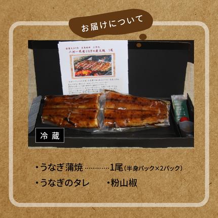 愛知県碧南市のふるさと納税 【ごちそうアワード2025 総合大賞】三河一色産うなぎの炭火焼 1尾 国産 冷蔵 簡単調理 職人 鰻 ウナギ たれ ギフト 贈り物 ご褒美 蒲焼き うな重 ひつまぶし 人気 高リピート 創業大正九年 日本料理 小伴天 ESSEふるさとグランプリ金賞受賞 H007-078