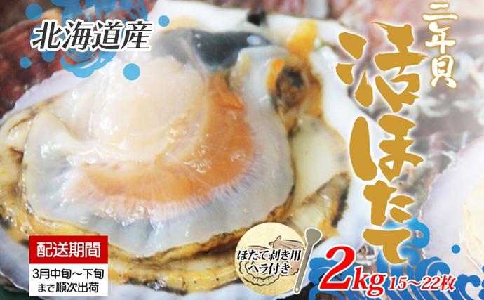 北海道洞爺湖町のふるさと納税 北海道産 活ほたて 2年貝 約 2kg 15枚～22枚 2026年3月中旬～3月下旬頃お届け 殻付き 帆立 ホタテ ほたて 貝 魚介 海産 海鮮 貝柱 噴火湾 刺身 焼き フライ 生産者支援 産地直送 送料無料 北海道