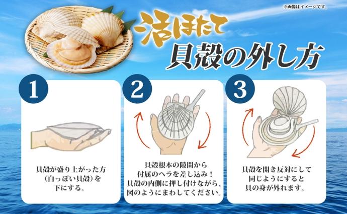 北海道洞爺湖町のふるさと納税 北海道産 活ほたて 2年貝 約 2kg 15枚～22枚 2026年3月中旬～3月下旬頃お届け 殻付き 帆立 ホタテ ほたて 貝 魚介 海産 海鮮 貝柱 噴火湾 刺身 焼き フライ 生産者支援 産地直送 送料無料 北海道