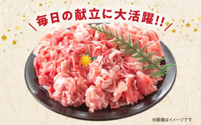 宮崎県日南市のふるさと納税 豚こま切れ 計1.5kg お肉 豚肉 小間切れ 豚こま ポーク 食品 スライス 切落し おかず お弁当 おつまみ 万能食材 国産 宮崎県産 焼肉 カレー 豚丼 豚汁 炒め物 大容量 小分け お祝い 記念日 ギフト おすすめ お取り寄せ グルメ 冷凍 宮崎県 日南市 送料無料_AA56-24