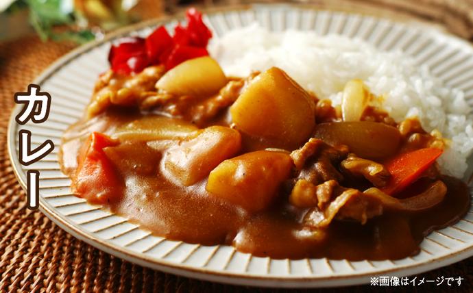 宮崎県日南市のふるさと納税 豚こま切れ 計1.5kg お肉 豚肉 小間切れ 豚こま ポーク 食品 スライス 切落し おかず お弁当 おつまみ 万能食材 国産 宮崎県産 焼肉 カレー 豚丼 豚汁 炒め物 大容量 小分け お祝い 記念日 ギフト おすすめ お取り寄せ グルメ 冷凍 宮崎県 日南市 送料無料_AA56-24