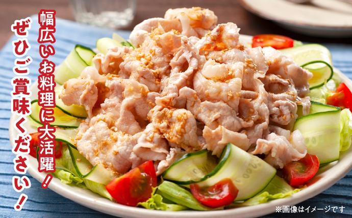 宮崎県日南市のふるさと納税 豚こま切れ 計1.5kg お肉 豚肉 小間切れ 豚こま ポーク 食品 スライス 切落し おかず お弁当 おつまみ 万能食材 国産 宮崎県産 焼肉 カレー 豚丼 豚汁 炒め物 大容量 小分け お祝い 記念日 ギフト おすすめ お取り寄せ グルメ 冷凍 宮崎県 日南市 送料無料_AA56-24