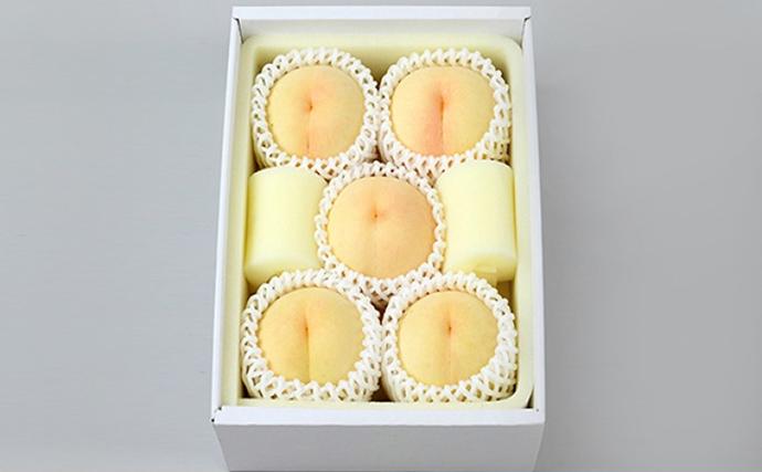 岡山県里庄町のふるさと納税 桃 2026年 先行予約 ご家庭用 白桃（晩生種）5～6玉 合計約1.5kg もも モモ 岡山県産 国産 フルーツ 果物 ギフト