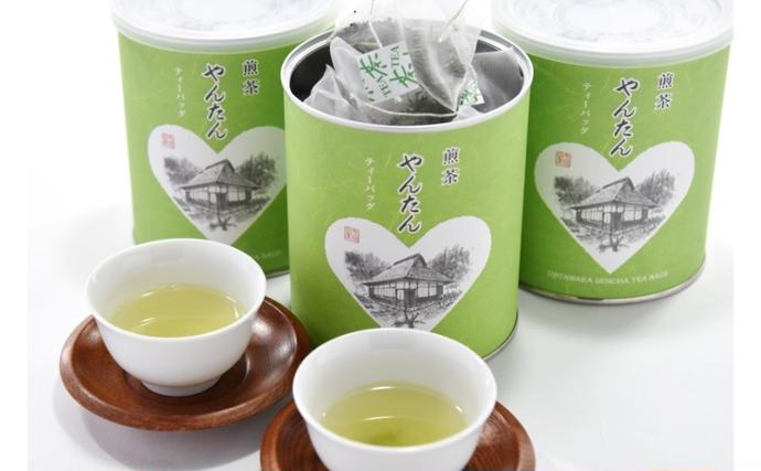煎茶ティーバッグ　やんたん　25P×3缶〈