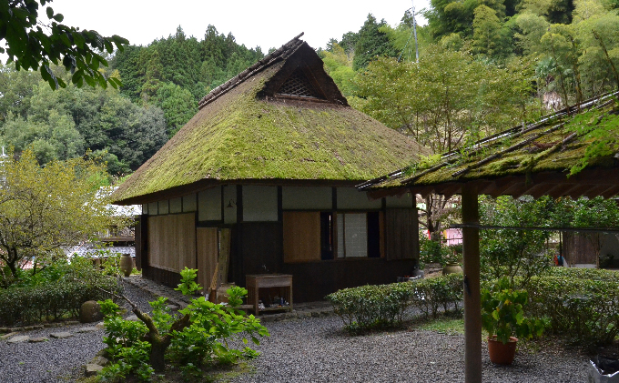 京都府宇治田原町のふるさと納税 煎茶ティーバッグ　やんたん　25P×3缶〈煎茶 緑茶 お茶 茶 ティバッグ ティーパック 加工食品〉