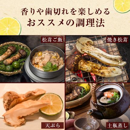 長野県駒ヶ根市のふるさと納税 信州産「天然松茸」（約200g/2〜8本） 野菜 きのこ まつたけ