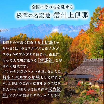長野県駒ヶ根市のふるさと納税 信州産「天然松茸」（約200g/2〜8本） 野菜 きのこ まつたけ