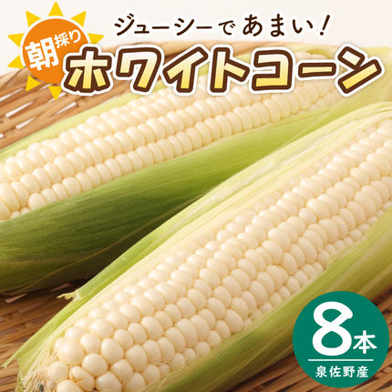 大阪府泉佐野市のふるさと納税 【先行予約】朝採り ホワイトコーン 8本セット【とうもろこし 農家直送 新鮮 野菜 やさい 期間限定】 099H4021
