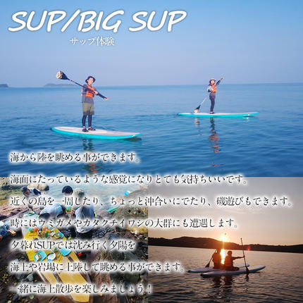 鹿児島県阿久根市のふるさと納税 ＜選べるアクティビティと人数＞happy smile farm アクティビティ体験チケット(サーフィン or SUP or BIG SUP or リバートレッキング or 登山/2名様or3名様) サーフィン サップ リバトレ レジャー 自然 マリンスポーツ アウトドア 山登り【落合ぶどう園】akn025-02